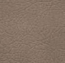 Desert