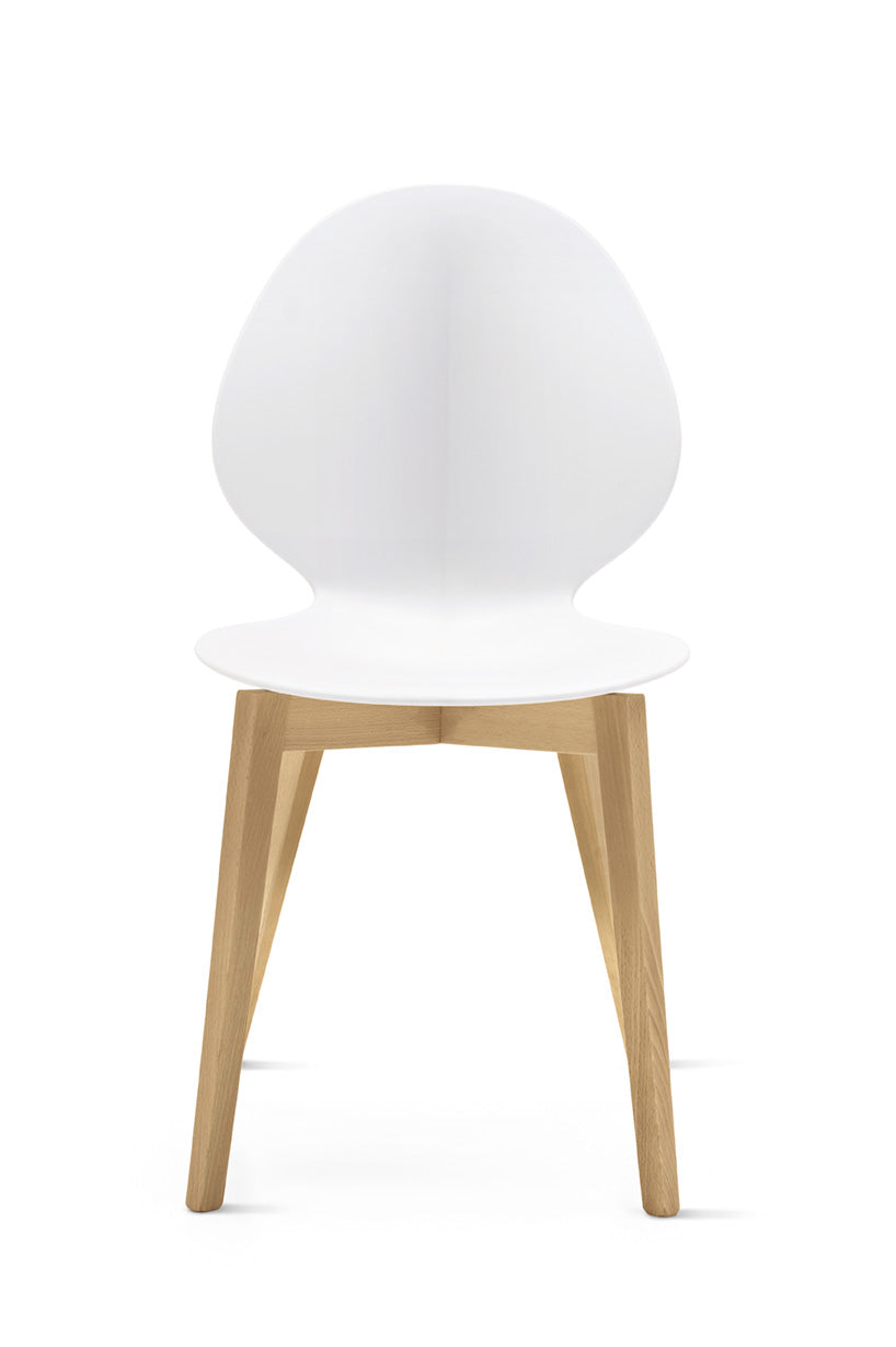 Basil Chair P19W