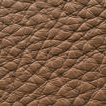 Antilop