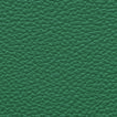 Cedar Green