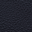 Ebony