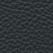 Grayshadow