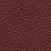 Hezelnut