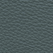 Iron