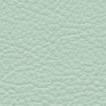 Plaster