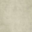 Matt Pearl Beige Brushed