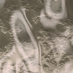 Annealed Bronze