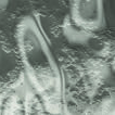 Annealed Smoke Grey