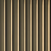 Mirrored Bronze