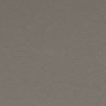 Matt Taupe