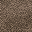 Antelope Brown