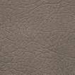 Desert
